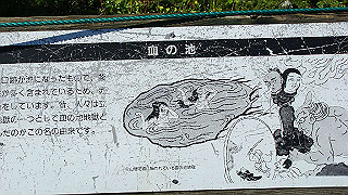 dsc07008_thumb.jpg