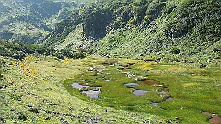 dsc07011_thumb.jpg