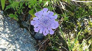 dsc07018_thumb.jpg