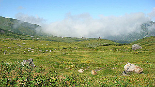 dsc07023_thumb.jpg