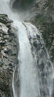 dsc07032_thumb.jpg