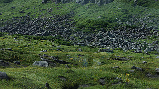 dsc08869_thumb.jpg