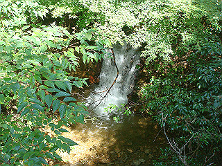 dsc07099_thumb.jpg