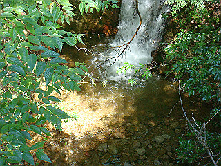 dsc07100_thumb.jpg