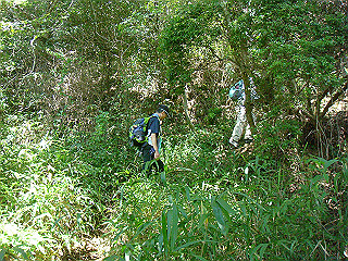 dsc07104_thumb.jpg
