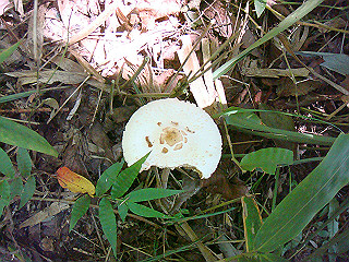 dsc07105_thumb.jpg