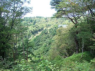 dsc07112_thumb.jpg