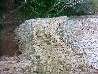dsc07120_thumb.jpg