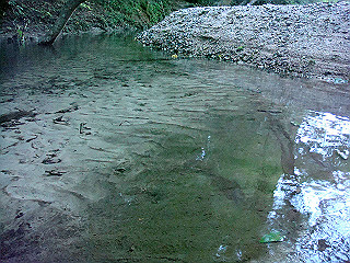 dsc07123_thumb.jpg