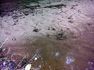 dsc07124_thumb.jpg