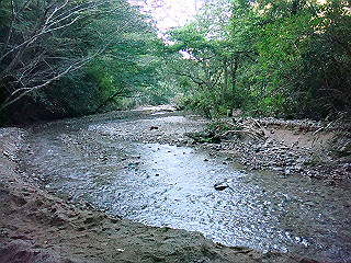 dsc07125_thumb.jpg