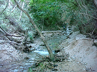 dsc07126_thumb.jpg