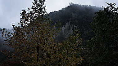 dsc00011_thumb.jpg