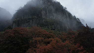 dsc00014_thumb.jpg