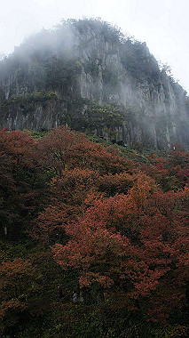 dsc00015_thumb.jpg