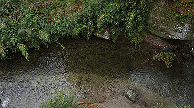 dsc00017_thumb.jpg