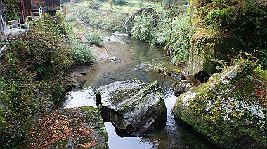 dsc00030_thumb.jpg