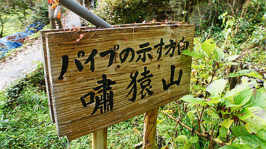 dsc00034_thumb.jpg