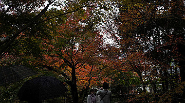 dsc00053_thumb.jpg