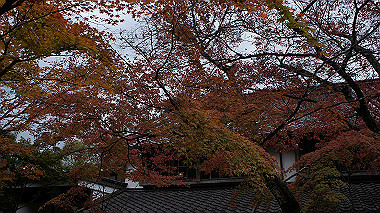 dsc00056_thumb.jpg
