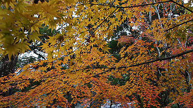 dsc00058_thumb.jpg