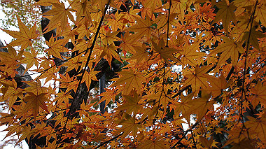 dsc00059_thumb.jpg