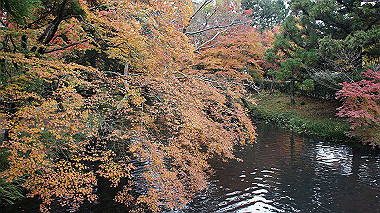 dsc00064_thumb.jpg