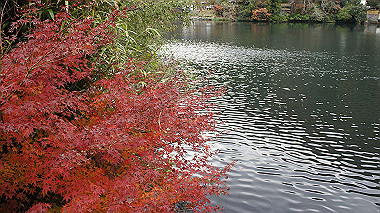 dsc00065_thumb.jpg