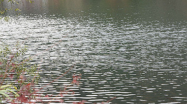 dsc00066_thumb.jpg