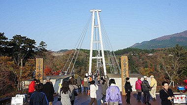 dsc00113_thumb.jpg