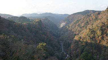 dsc00118_thumb.jpg