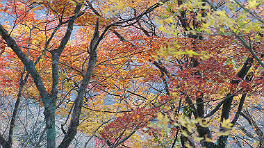 dsc00134_thumb.jpg