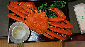 dsc00022_thumb.jpg