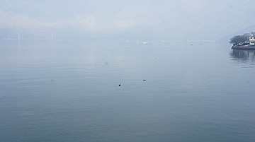 dsc00075_thumb.jpg