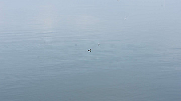 dsc00076_thumb.jpg