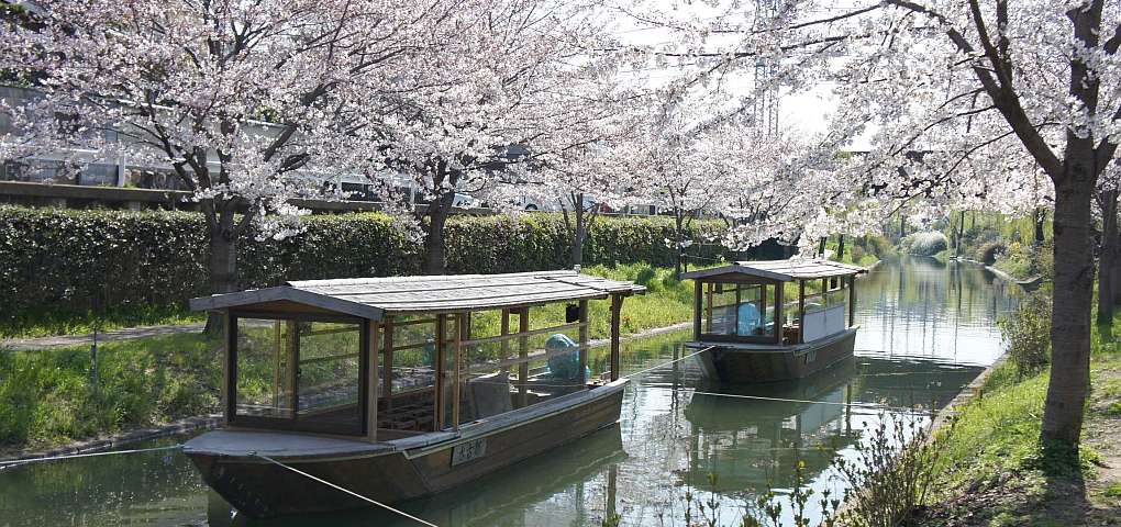 サンプル画像