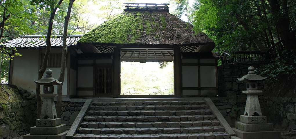 サンプル画像