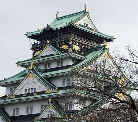 サンプル画像