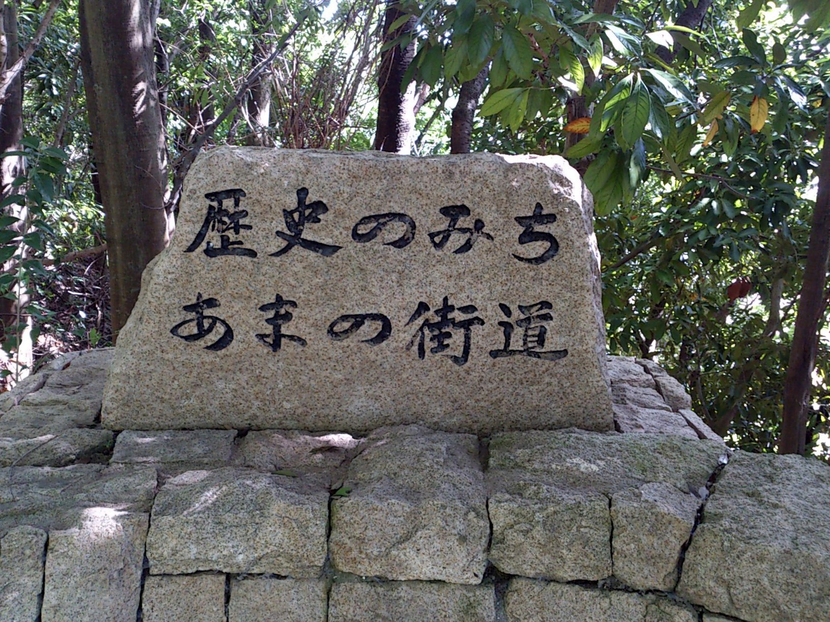 サンプル画像