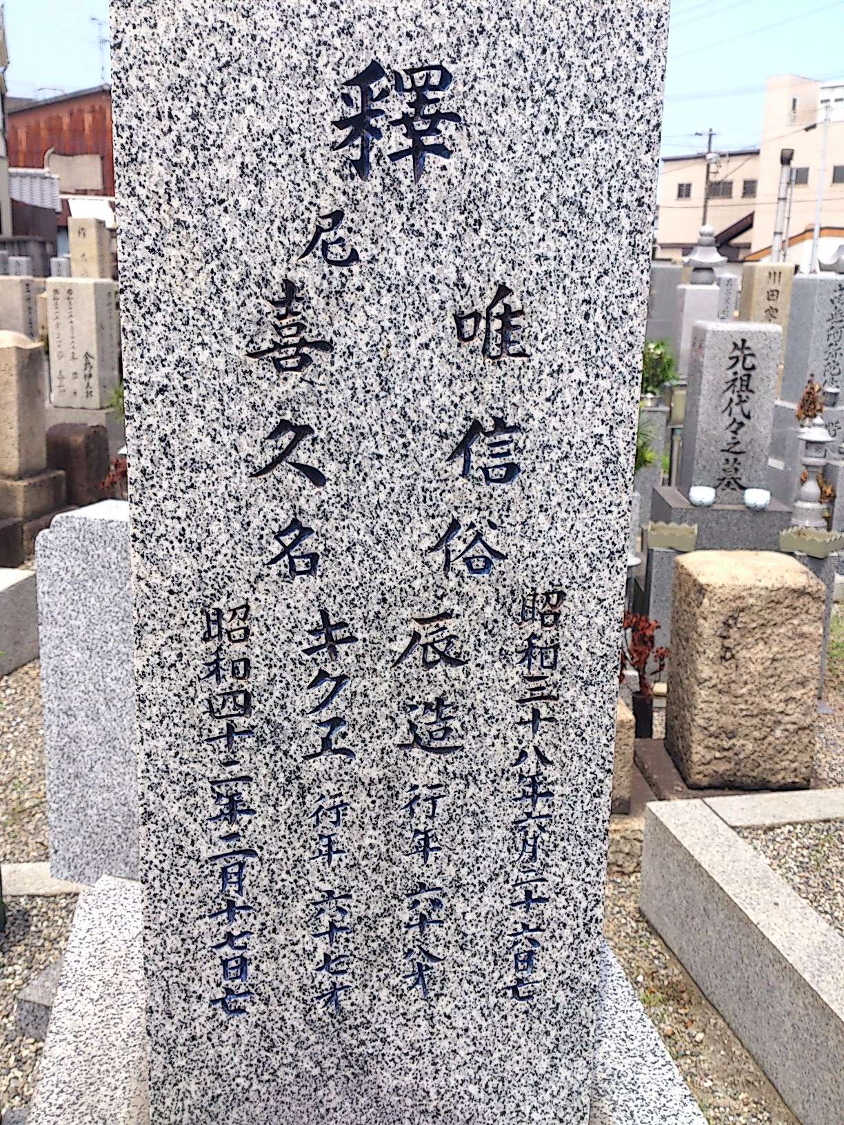 サンプル画像