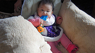 dsc00001_thumb.jpg