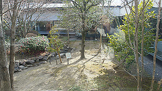 dsc00026_thumb.jpg