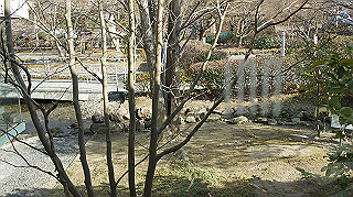 dsc00033_thumb.jpg