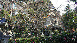 dsc00037_thumb.jpg