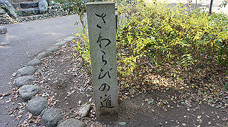 dsc00039_thumb.jpg