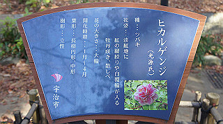 dsc00044_thumb.jpg