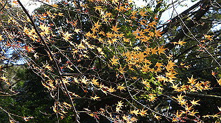 dsc00047_thumb.jpg