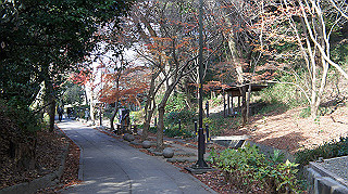 dsc00048_thumb.jpg