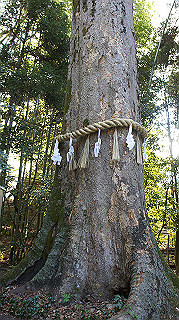 dsc00052_thumb.jpg