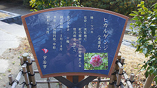 dsc00067_thumb.jpg